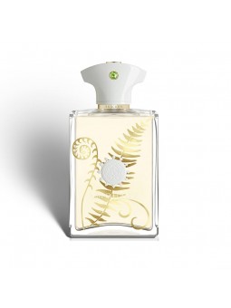 amouage bracken man edp 100ml