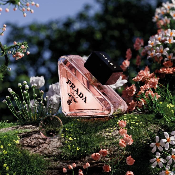 Prada Paradoxe EDP